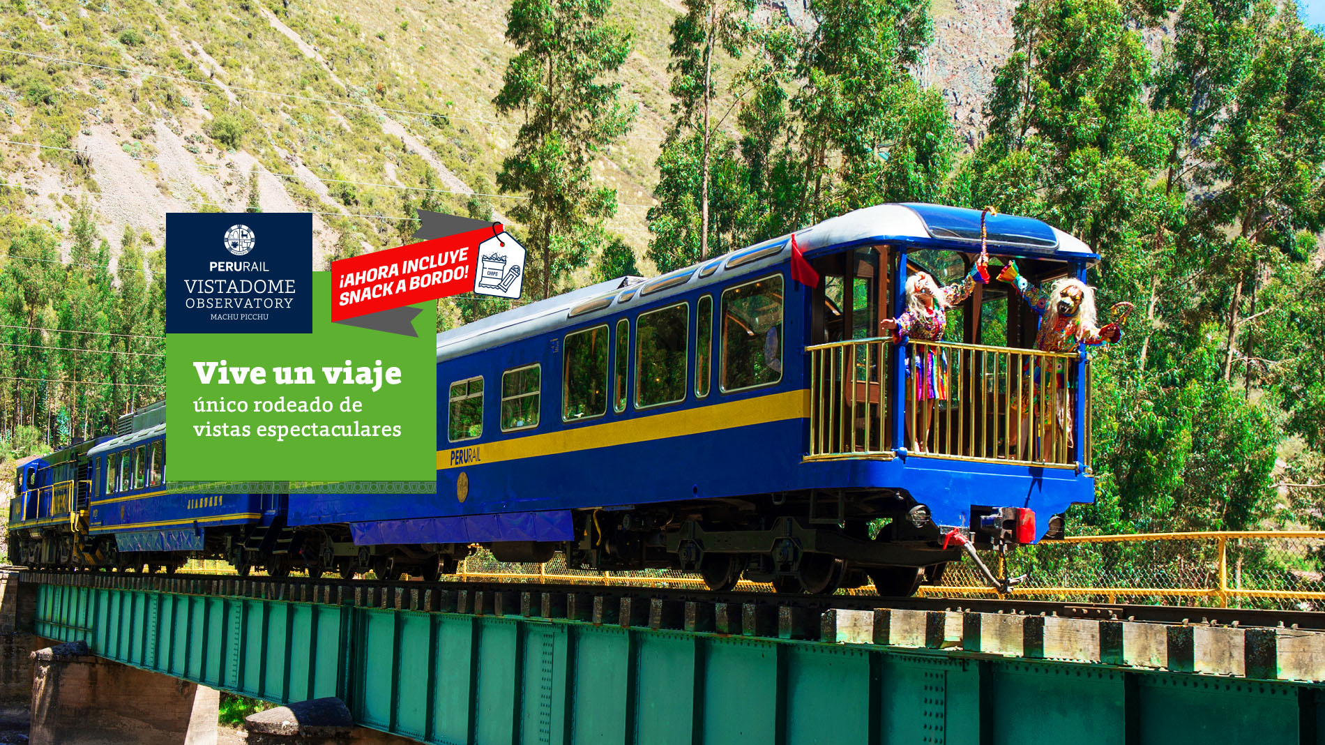 ¿Cómo es el tren OBSERVATORY?