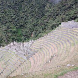 Camino Inca corto: andenes curvos de piedra y construcciones incas de Wiñaywayna en una ladera, frente a un cerro cubierto de bosque verde