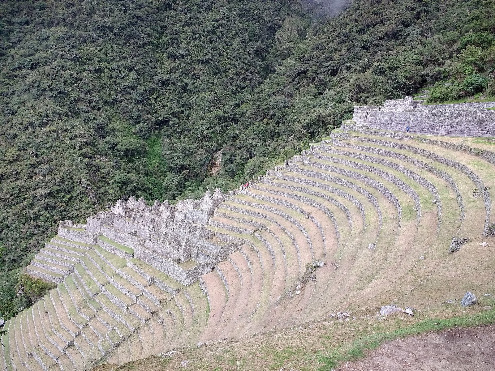 Andenes de piedra de Wiñay Wayna, sitio que protegen las reglas del Camino Inca, sobre una ladera verde
