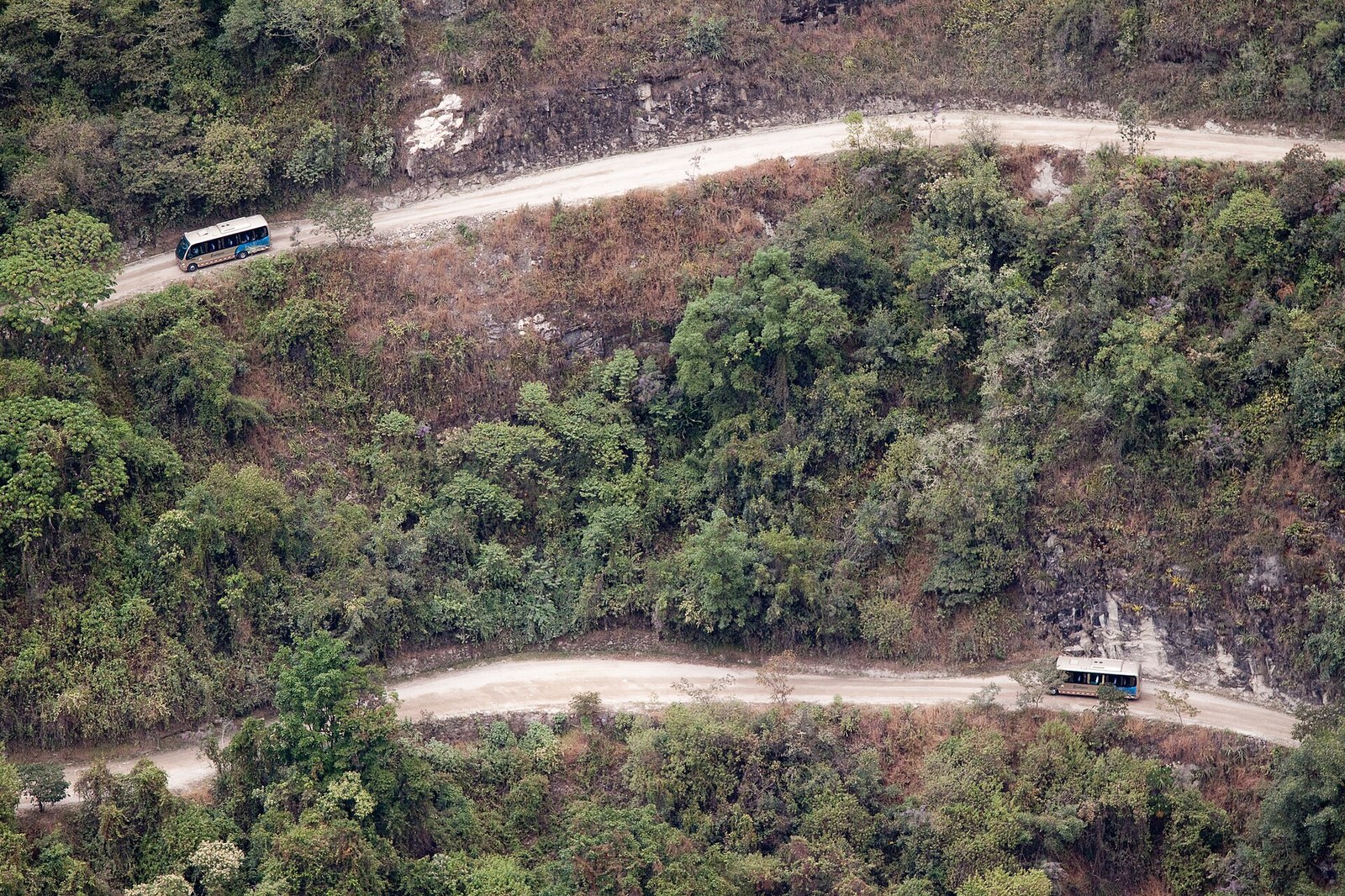 Buses turísticos en la carretera en zigzag que sube desde Aguas Calientes hacia Machu Picchu, entre montañas verdes