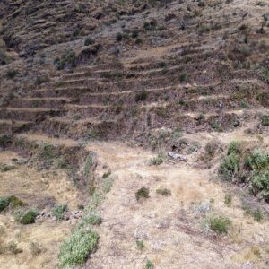 Huchuy Qosqo: andenes incas de piedra en forma de escalones suben por una ladera seca de montaña con pasto amarillo y arbustos verdes