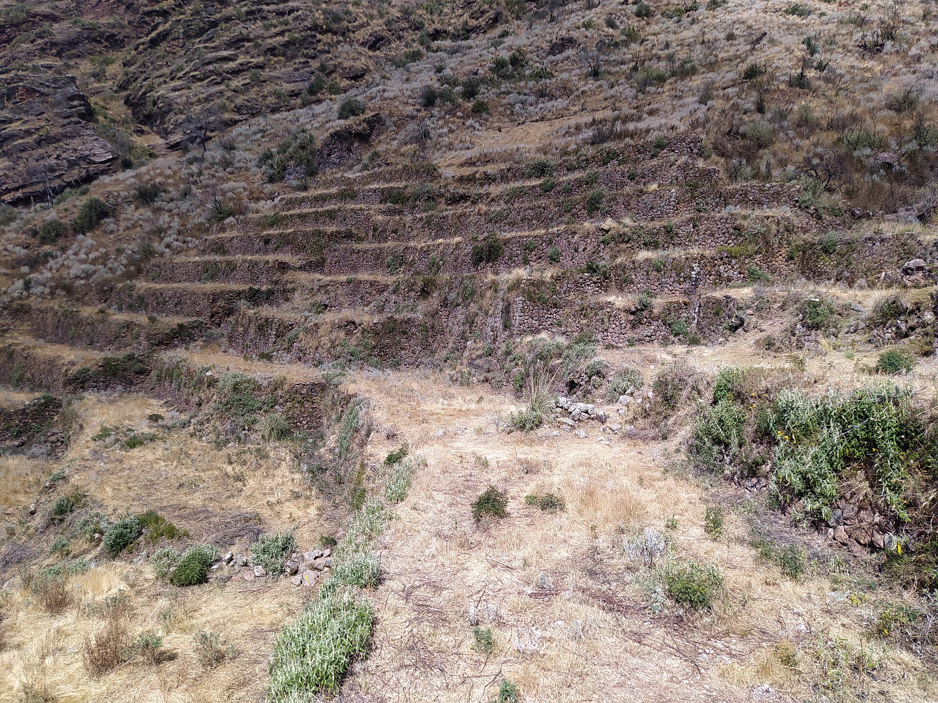 Huchuy Qosqo: andenes incas de piedra en forma de escalones suben por una ladera seca de montaña con pasto amarillo y arbustos verdes