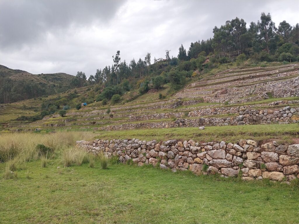 Inkilltambo: andenes incas de piedra en una ladera verde con pasto alto, muros bajos en primer plano y árboles en la cima bajo un cielo nublado