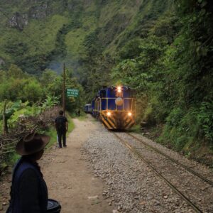 Tren PeruRail en la vía férrea hacia Machu Picchu, entre montañas verdes del valle