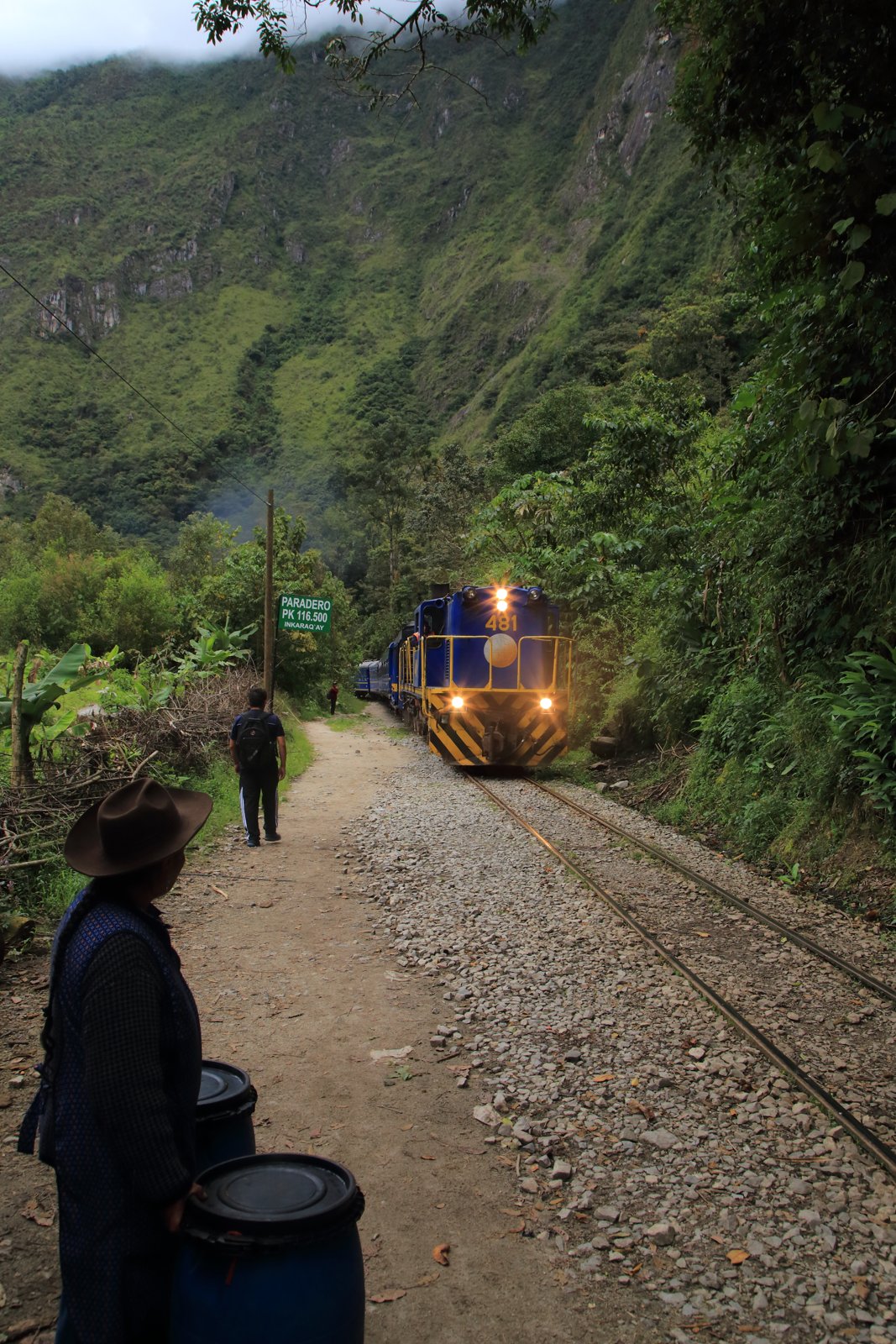 Tren PeruRail en la vía férrea hacia Machu Picchu, entre montañas verdes del valle
