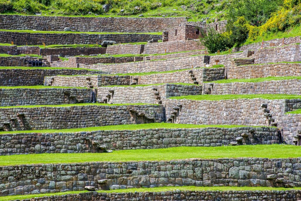 Andenes de Tipón: muros de piedra inca con escalones salientes y césped verde, con arbustos de flores amarillas en lo alto