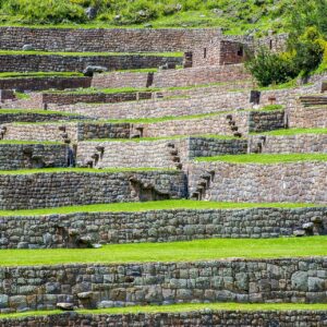 Andenes de Tipón: muros de piedra inca con escalones salientes y césped verde, con arbustos de flores amarillas en lo alto